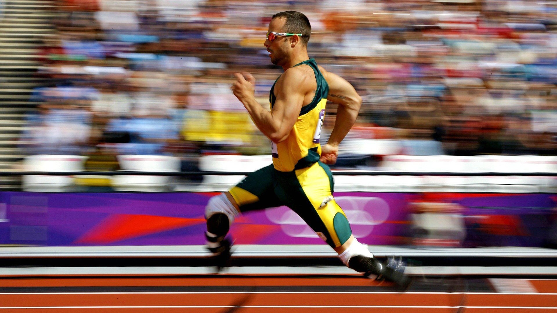 技术雷达图展现男子100自优势,雷达技术百科全书